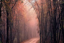 [冰雪]林勤炜、赵丹分获男、女冠军.