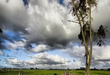 爱游戏体育：[NBA]詹姆斯迎来五万分里程碑 主场大胜鹈鹕.